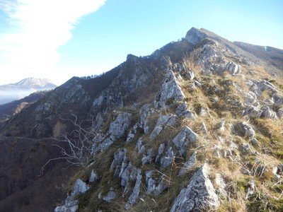 Porrón de Cerrosa