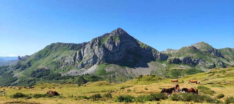 Pico Mocoso