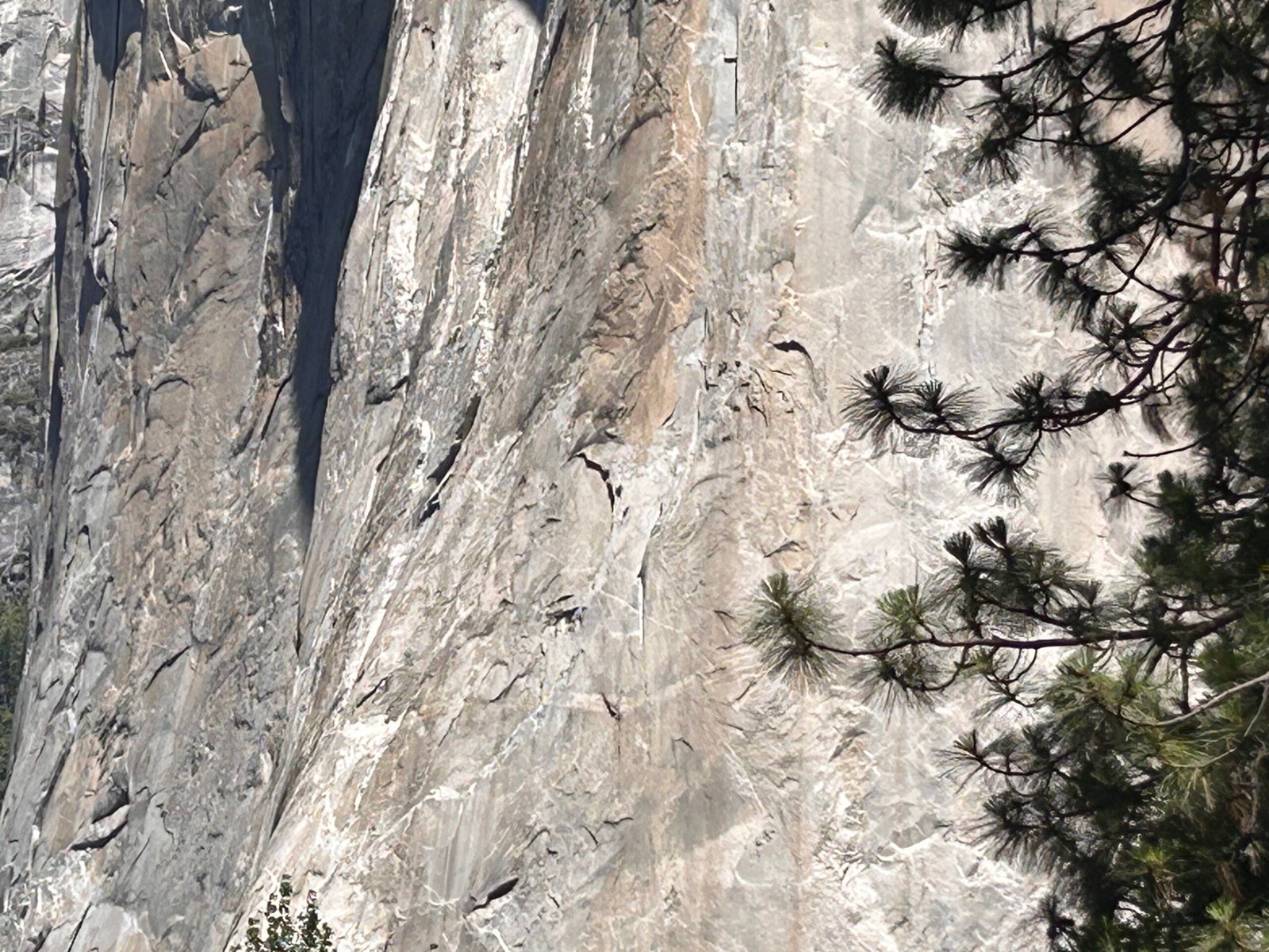 Pared de granito de El Capitan; imagen provisional ilustrativa